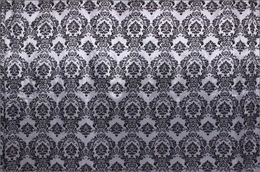 Black and white damask backdrop
